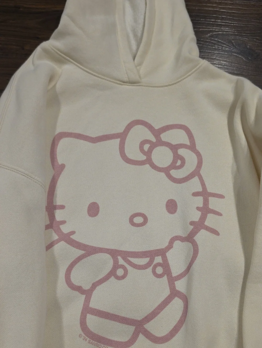 GAP Hooded Sweatshirt Girls Size XL 12